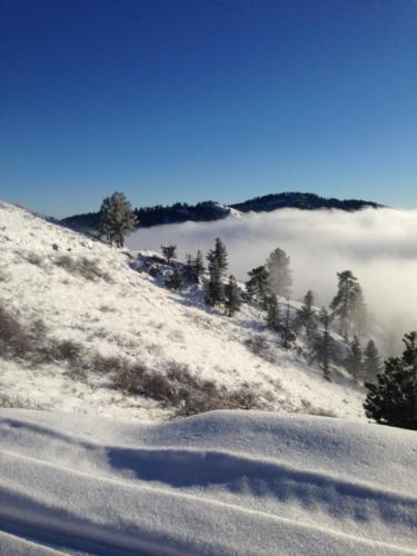 In the Clouds