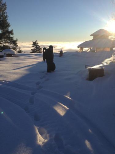 Yurt in Winter