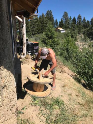 Stevie_hard-at-work_july9